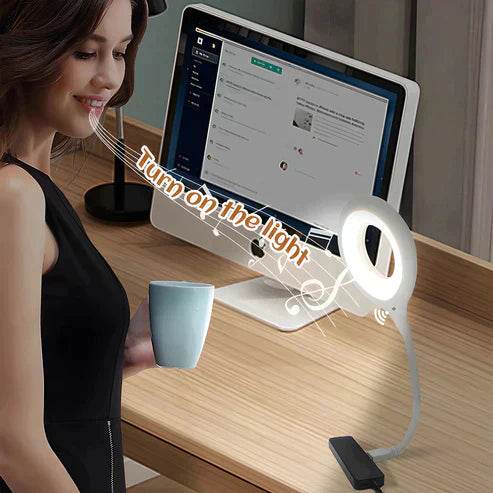 smart voice control usb light