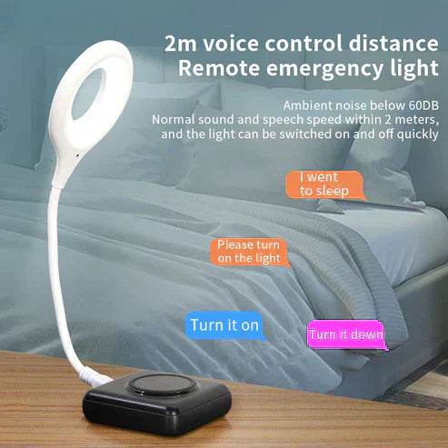smart voice control usb light